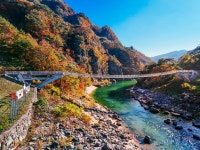 [투얼로지]수더분하지만 깊은 멋, 봄날 봉화와 영주 나들이