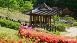 [투얼로지]수더분하지만 깊은 멋, 봄날 봉화와 영주 나들이