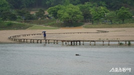 [투얼로지]수더분하지만 깊은 멋, 봄날 봉화와 영주 나들이