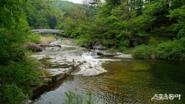 [투얼로지]신록 짙은 봄날 머스트 비짓(must visit), 평창과 영월
