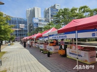 인천 중구, 지역 상권 활성화 위한 소통·화합의 장 마련…‘별빛광장 플리마켓’ 개장