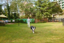 소노펫클럽앤리조트, 월더와 반려동물 생태계 강화 업무협약