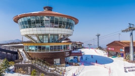 “스키장 한정판 무제한 정복권” 하이원, ‘X5+ 시즌패스’로 눈밭 접수