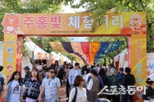 청도, 감빛 웃음으로 물든다… ‘2025 청도반시축제 & 세계코미디아트페스티벌’ 17일 개막