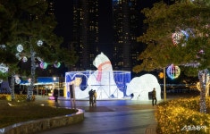 부산 서구 ‘희망의 빛거리’ 점등식… 내년 3월 초까지 운영