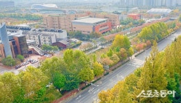 인천 계양구, 2025년 특색가로수길 우수기관 선정…‘서부간선로 높은 평가’
