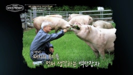 ‘축산업 백만장자’ 이범호, 자녀 대신 ‘1호 사원’에 물려줘…“생명의 가치 깨달아” [TV종합]