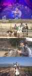 최홍만 “알파카 보고 싶다”…‘놀면 뭐하니?’ 멤버들, 제주 소원 풀이 출동