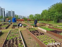 “도시농부 모여라”…인천 부평구, 공영텃밭 626구획 분양 접수