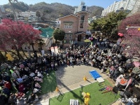 1만 인파 홀린 ‘홍매화의 유혹’… 순천 매곡동, 대한민국 봄의 서막을 열다
