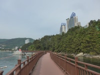 [여담:旅談]“이집 좀 치네” 기자와 유학파 미식가의 소노캄 거제 호캉스 썰
