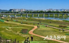 경주 파크골프장 새 단장 마치고 재개장…“안전·편의 모두 높였다”
