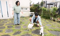 기안84, 제주 본가 行…‘알콩이&달콩이’ 근황 공개 (나혼산)