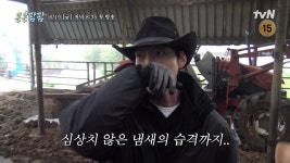 김우빈 예의 또 뭐 했나요? 레전드라고 난리 (콩콩팜팜)