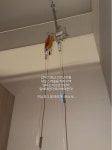 트루디, 산후 우울증 이어 건강 적신호…“엄마는 아프면 안 된다” [SD톡톡]