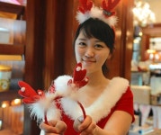 [Hotel 단신] 롯데호텔제주 천일의 약속 패키지 선봬 外