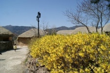 여수엑스포 가는길… 이곳 놓치지마!