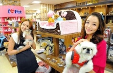 홈플러스 동수원점, 반려동물 서비스 전문관 아이 러브 펫 오픈