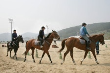 부산경남경마공원, 유료 승마강습 실시
