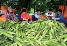 진정한 휴가지, 여기 다 모였다!
