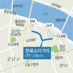 한류스타거리, 압구정 일대에 조성 관심집중