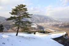 도담삼봉과 소백산자락길이 기다리는 충북 단양 여행