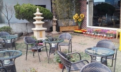 연예계 힐링 전도사 차연희 원장, 봄 맞이 소통 무료 카페