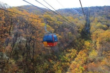 용평리조트서 마운틴 파라다이스를 느껴보자