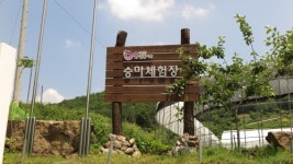 공주 새 명소 “계룡산 상하신계곡으로 오세요”