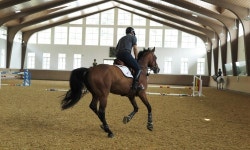 VVIP 리조트 소노펠리체, 말도 타고 골프도 치고…고품격 휴식을 맛보다