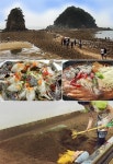 힐링 휴가지, 안면도자연휴양림 주변 가볼만한 곳은?