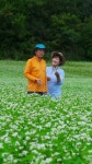 2014 평창효석문화제…소금을 뿌려놓은 듯한 하얀 메밀꽃 속으로