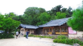 2014 평창효석문화제…소금을 뿌려놓은 듯한 하얀 메밀꽃 속으로