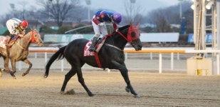 ‘경부대로’, 올해 최고의 경주마필로 올라