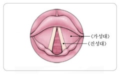 [최이진의 보컬 트레이닝] ⑧ 한계를 모르는 가성