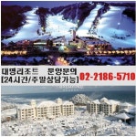 대명리조트 다양한 이벤트가 2월까지 “겨울시즌 콘도회원권 증가세”