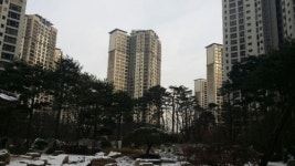 일산 자이 아파트 대폭 할인 분양, 명품 아파트 구입 기회