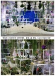 홍대 여심을 흔드는 꽃과 함께 하는 젠틀몬스터 15th 퀀텀 프로젝트