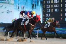 ‘경부대로’, 경마혁신 첫 무대서 국산마 명예 지켰다