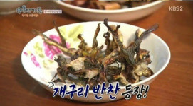 용감한 가족 무슨 반찬 먹었니 개구리 반찬!