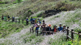 성산·오조 지질트레일 길 열림 행사 화산·바다·사람  모두 한자리에 이야기 품은 길