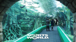 도심 속 최대 수족관… 롯데월드 아쿠아리움 12일 재개장