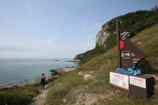 보배섬 진도를 가다(하)…하늘다리 건너 매화의 섬 가볼까