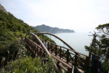 보배섬 진도를 가다(하)…하늘다리 건너 매화의 섬 가볼까
