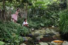 ‘야생화 천국’ 찾아 떠나는 식물원 생태여행