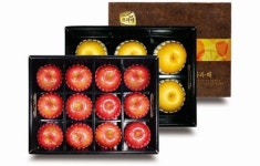 농협 “우리 농식품으로 감사의 마음을 전하세요”