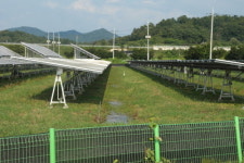 태양광 사업장에 복합양식장 도입 수익 극대화