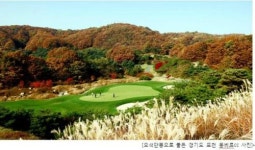 주말 골프 부킹도 역시 XGOLF