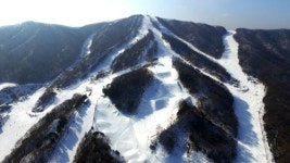 휘팍의 겨울은 계속 된다…네버엔딩 윈터 페스티벌 개최