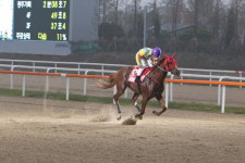 인기투표 1위 트리플나인, 그랑프리 우승으로 지난해 한(恨) 풀까?